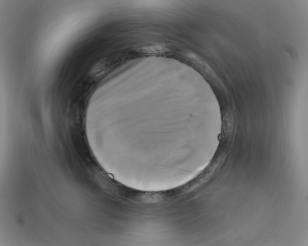 X0000113050762200910081231