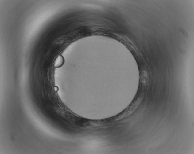 X0000113050763200910081231