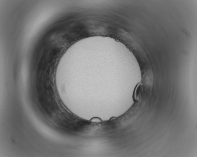 X0000113050764200910081231