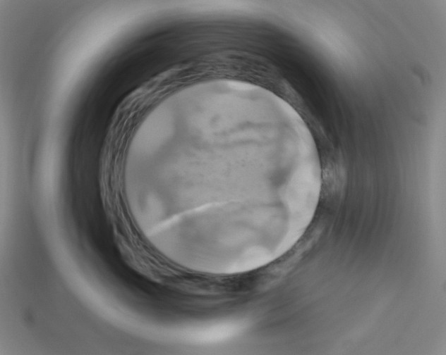 X0000113050765200910081231