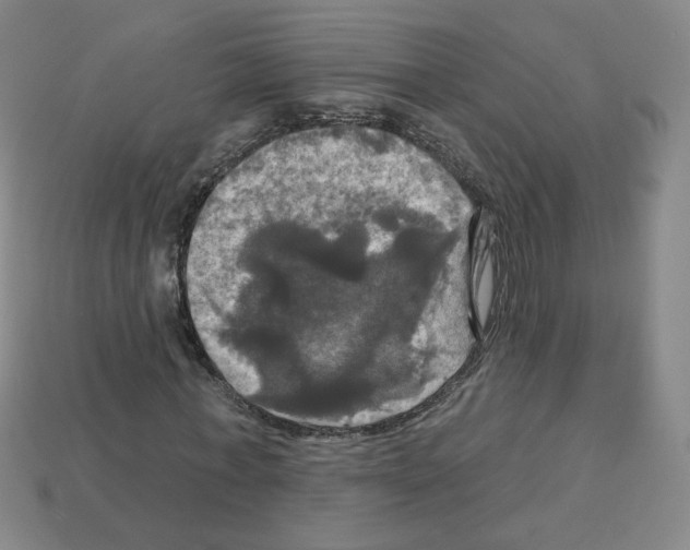 X0000113050771200910081231