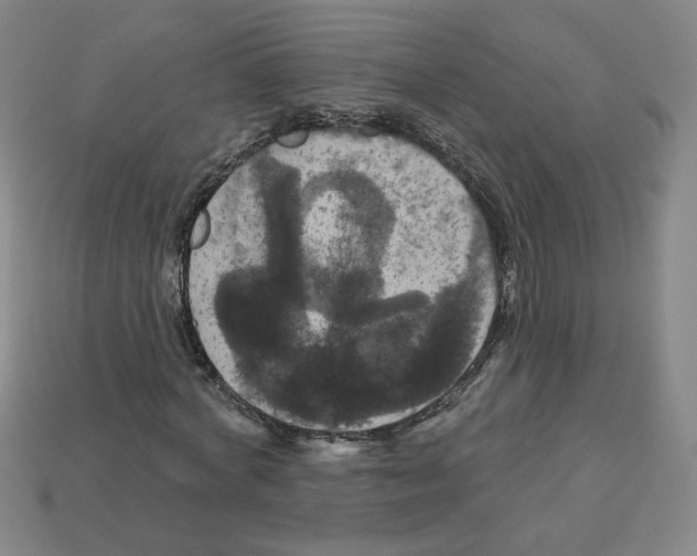 X0000113050772200910081231