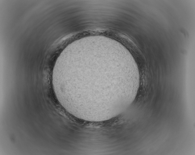 X0000113050773200910081231