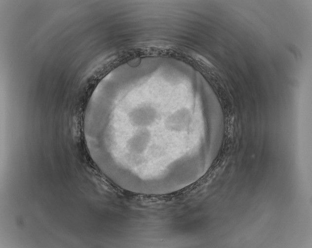 X0000113050774200910081231