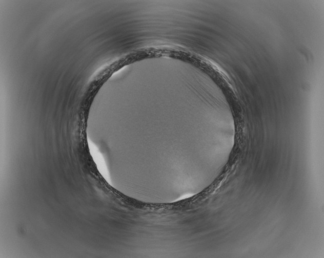 X0000113050775200910081231