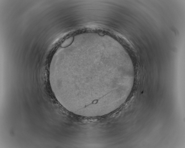 X0000113050776200910081230