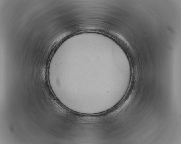 X0000113050777200910081230