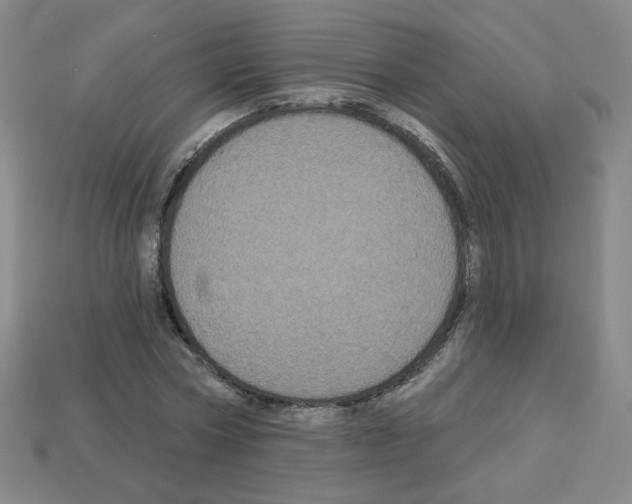 X0000113050778200910081230