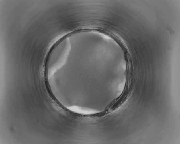 X0000113050779200910081230