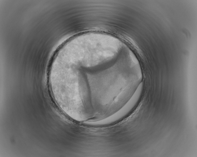 X0000113050780200910081230