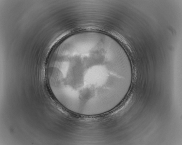 X0000113050782200910081230