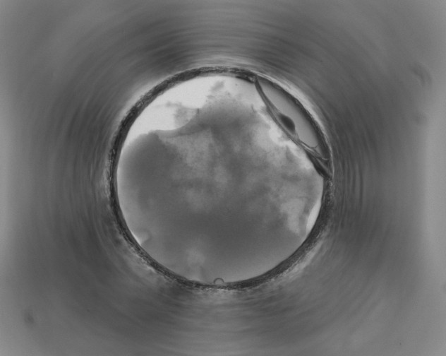 X0000113050783200910081230