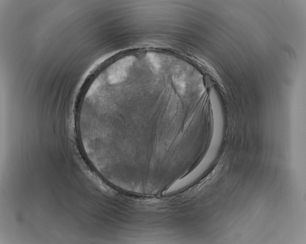 X0000113050784200910081230