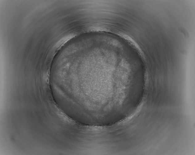 X0000113050785200910081230