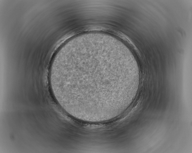 X0000113050786200910081230