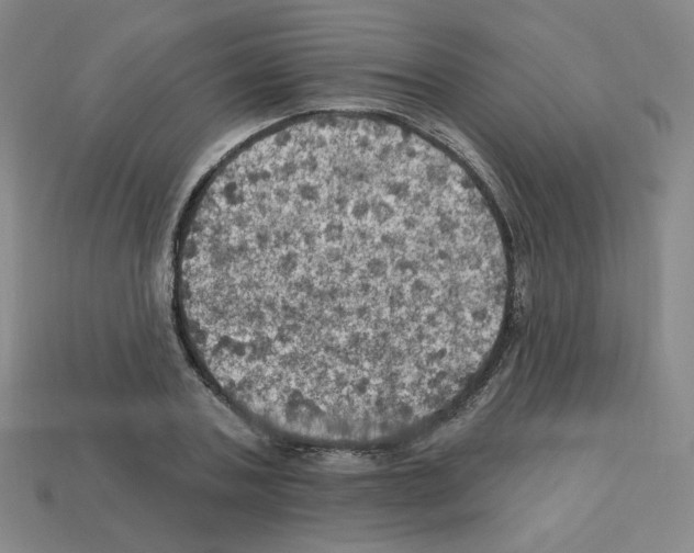 X0000113050787200910081230