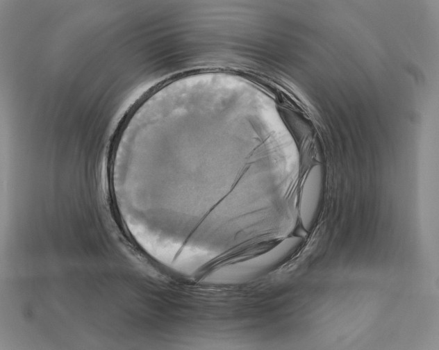 X0000113050788200910081230