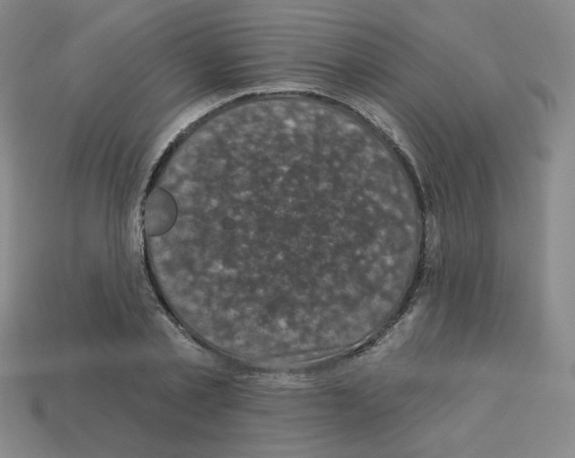 X0000113050789200910081230
