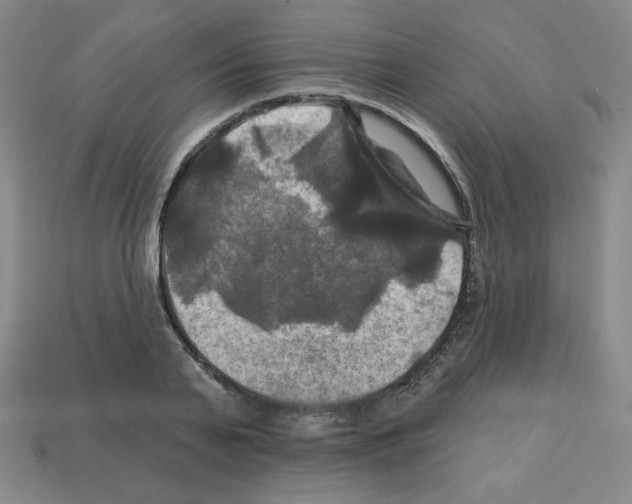 X0000113050791200910081230
