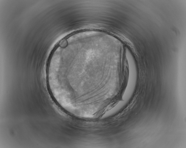 X0000113050792200910081230
