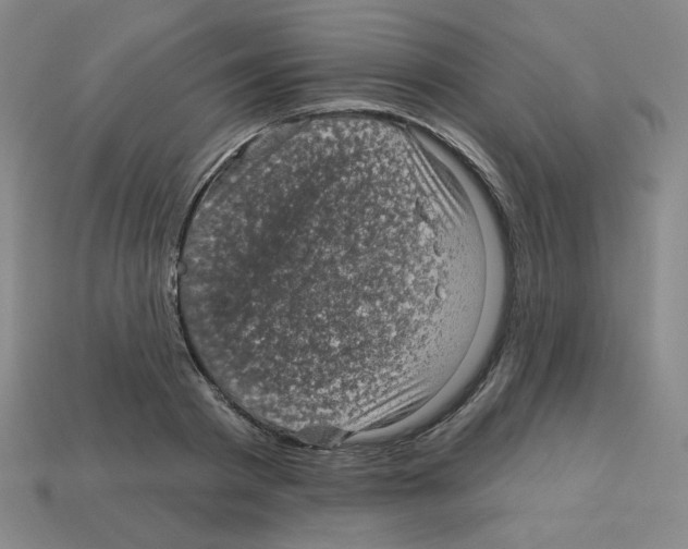 X0000113050793200910081230