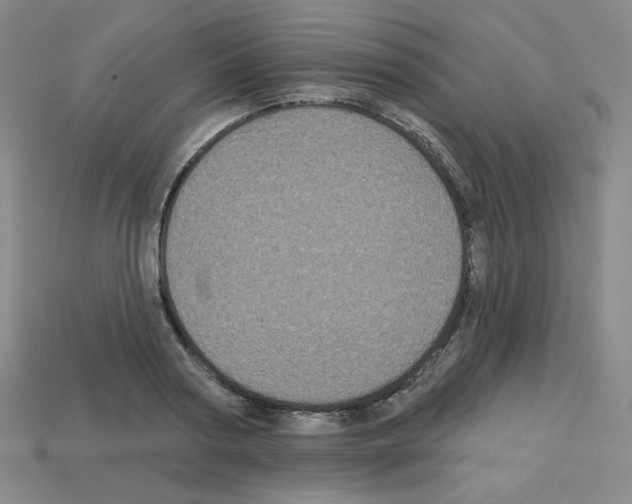 X0000113050794200910081230