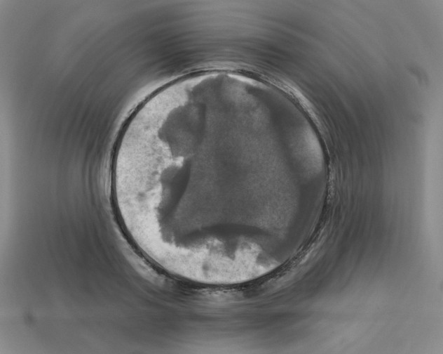 X0000113050795200910081230