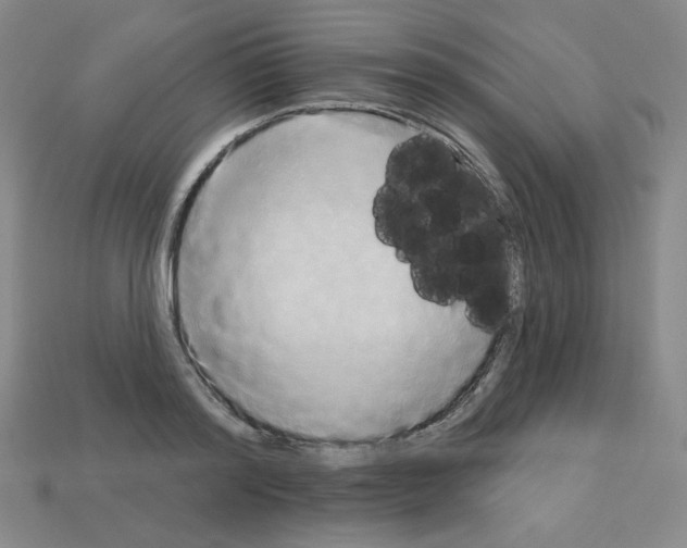 X0000113050796200910081230
