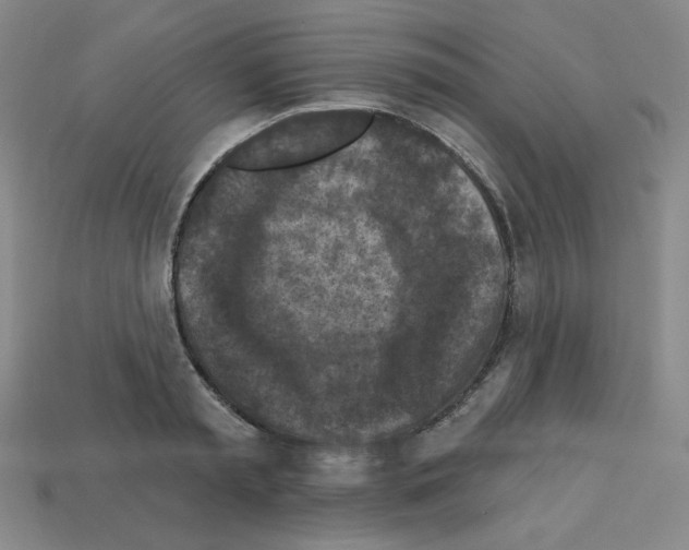 X0000113050797200910081230