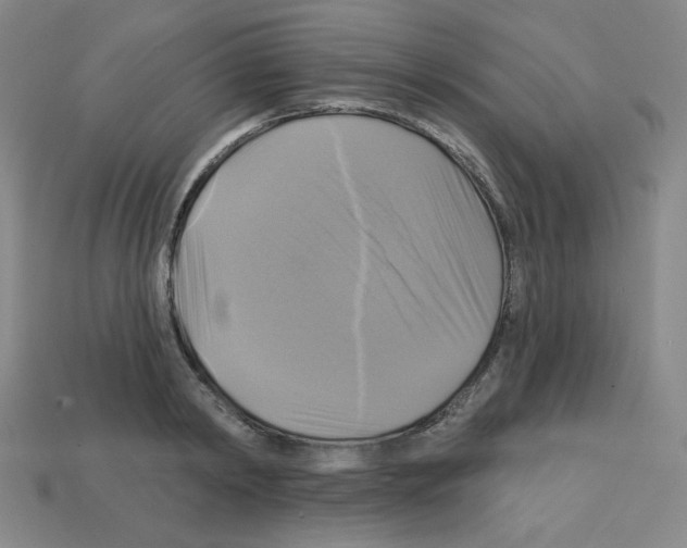 X0000113050798200910081230
