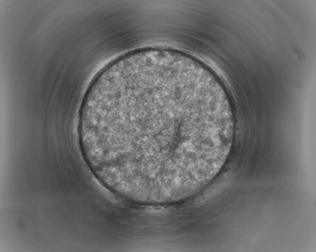 X0000113050799200910081230