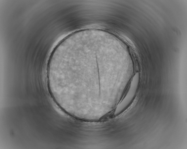 X0000113050800200910081230