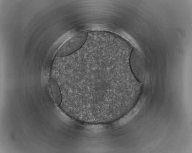 X0000113050801200910081230