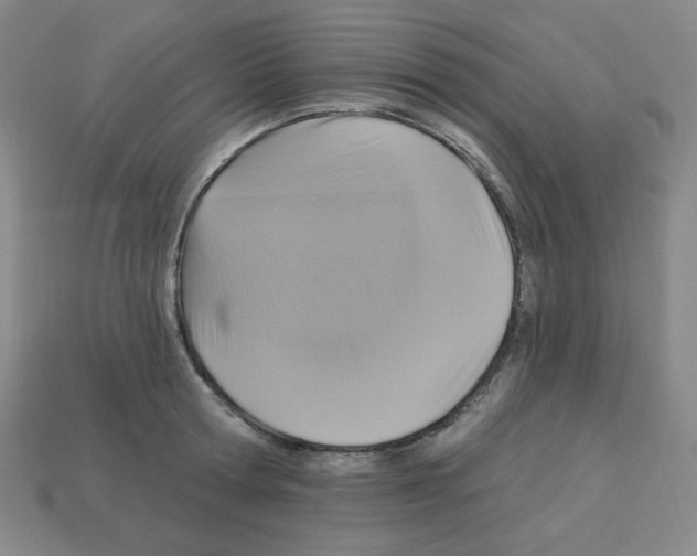 X0000113050802200910081230