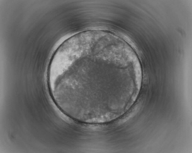 X0000113050803200910081230