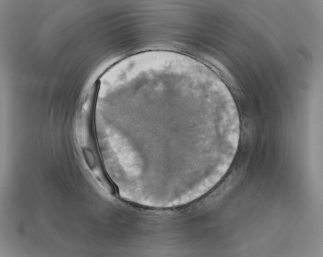 X0000113050804200910081230