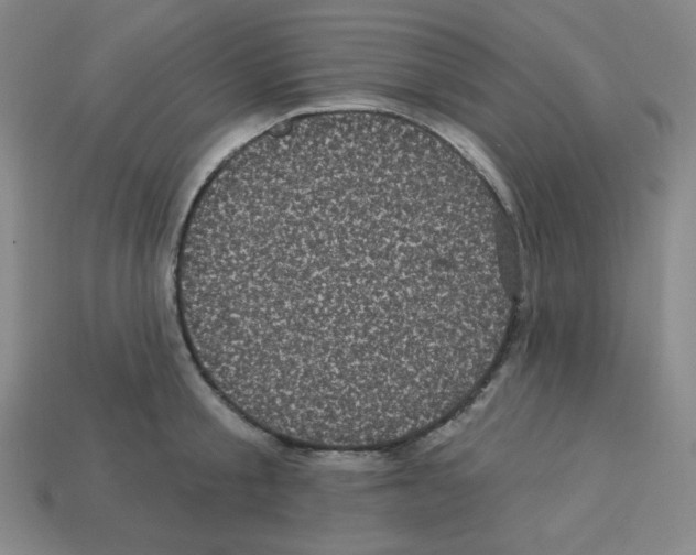 X0000113050805200910081230