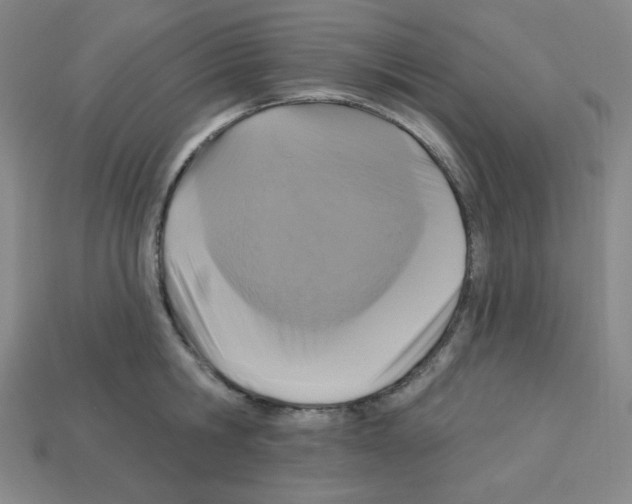 X0000113050806200910081230