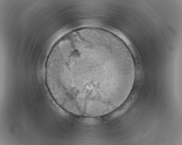 X0000113050807200910081230