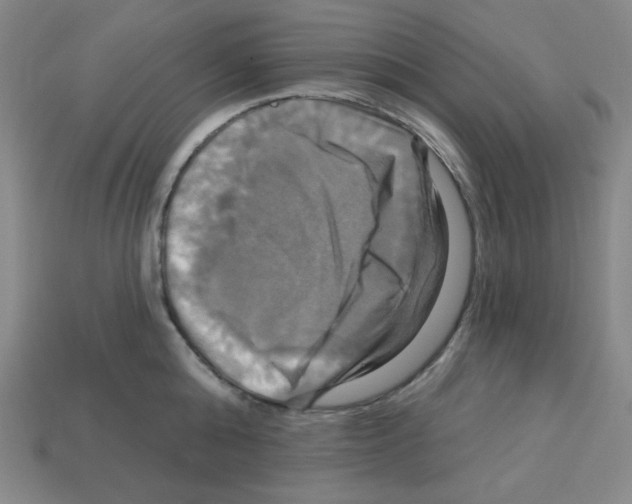 X0000113050808200910081230