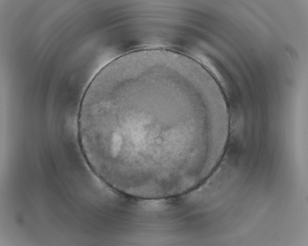 X0000113050810200910081230