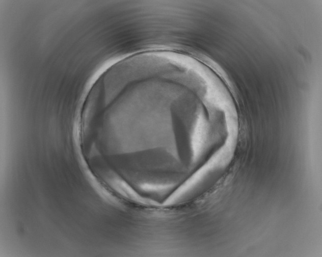 X0000113050811200910081230