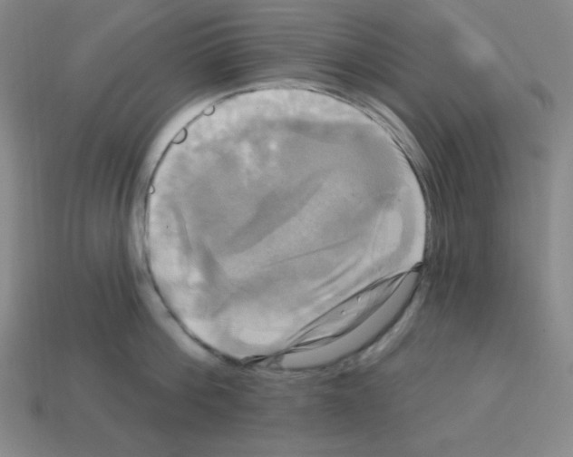 X0000113050812200910081230