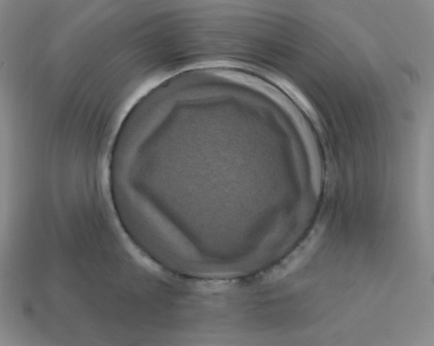 X0000113050813200910081230
