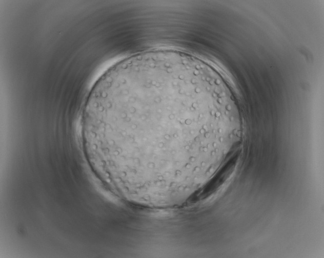 X0000113050814200910081230