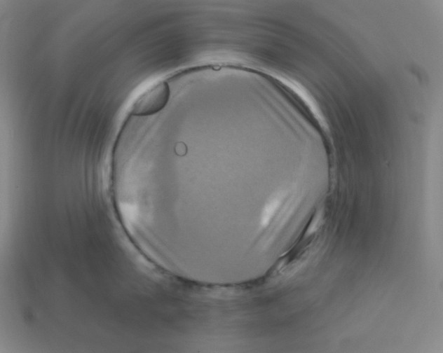 X0000113050815200910081230