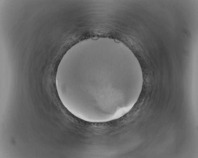 X0000113050817200910081229