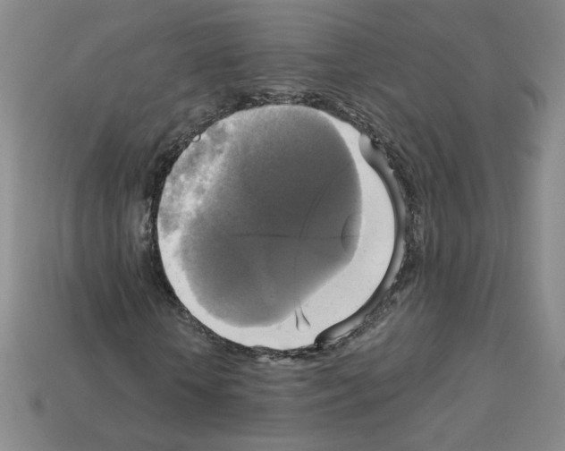 X0000113050818200910081229