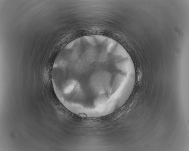 X0000113050819200910081229