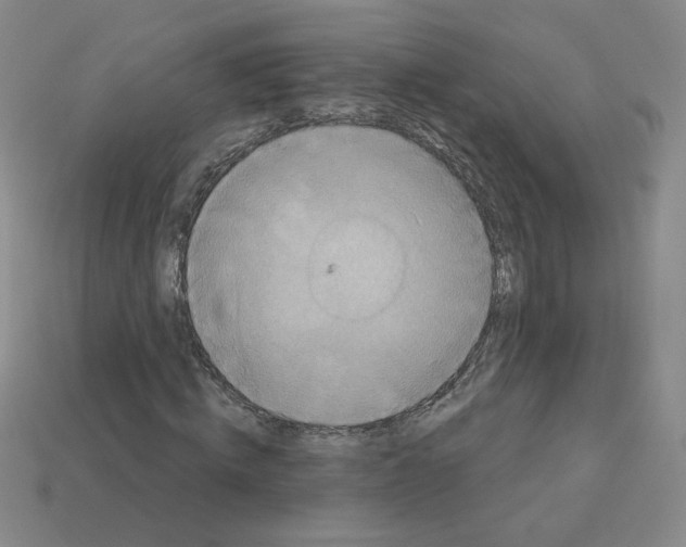 X0000113050820200910081229